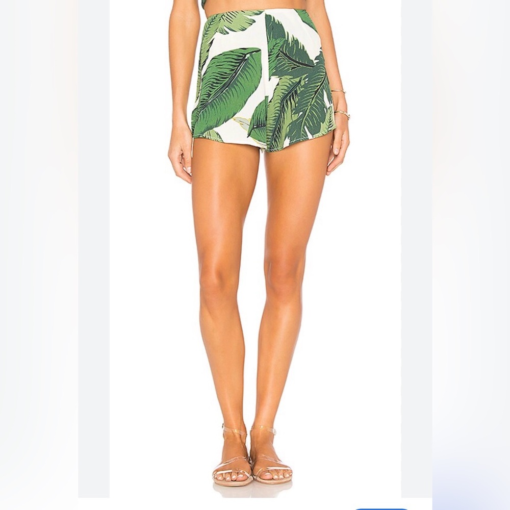 BEACH RIOT Dahlia Short in Palm